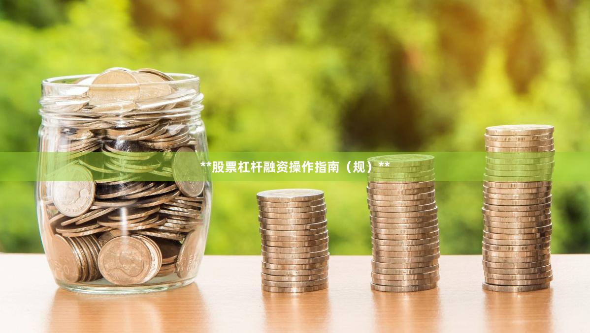 **股票杠杆融资操作指南（规）**
